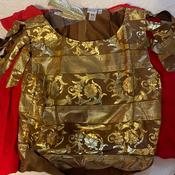 NWT Mens Julius Caesar Costume Size Large - Picture 3 of 12